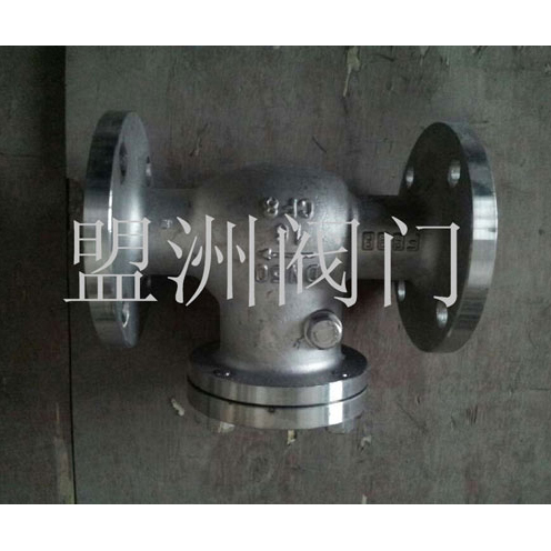 Stainless steel check valve